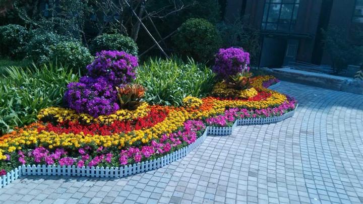 關于冬季室內綠植的養護