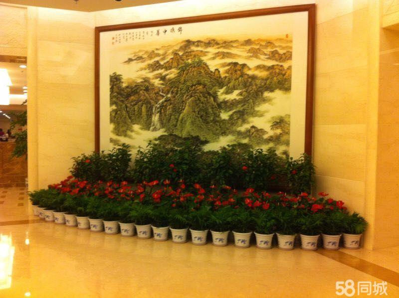 北京朝陽區來廣營望京酒仙橋附近綠植租賃公司有哪些？