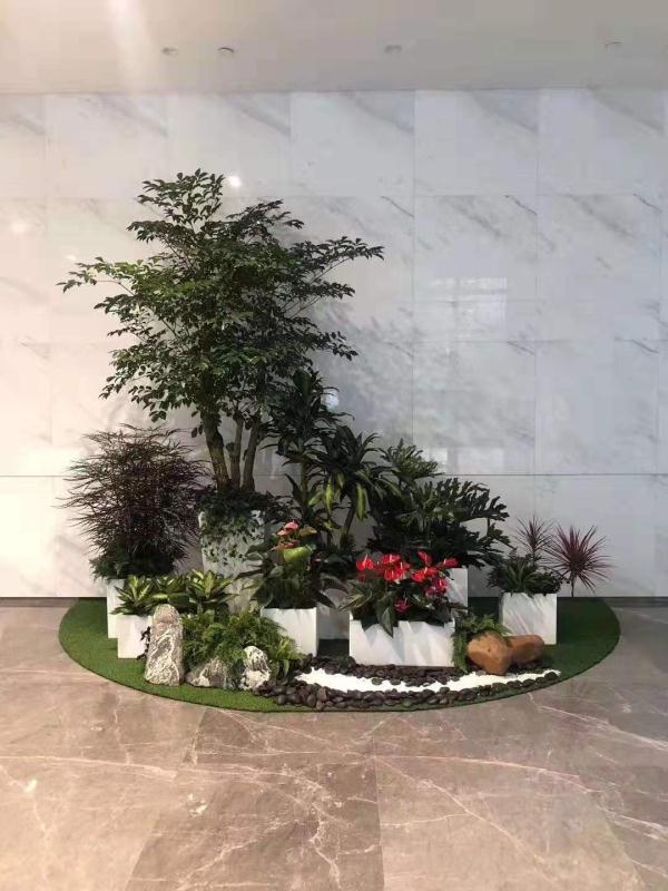 北京花卉天竺葵怎樣養護才能常年開花