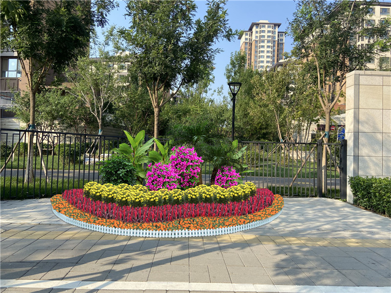 北京花卉租擺公司海棠花的養護知識